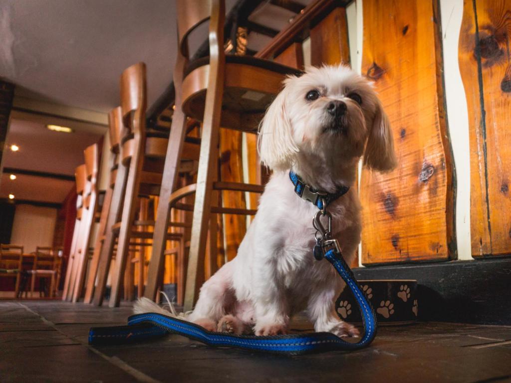 The Shoe Inn Plaitford Luaran gambar